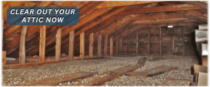 Attic Cleaning Hollywood FL